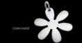 /album/fotogaleria-privesky/a522901-daisy-jpg/